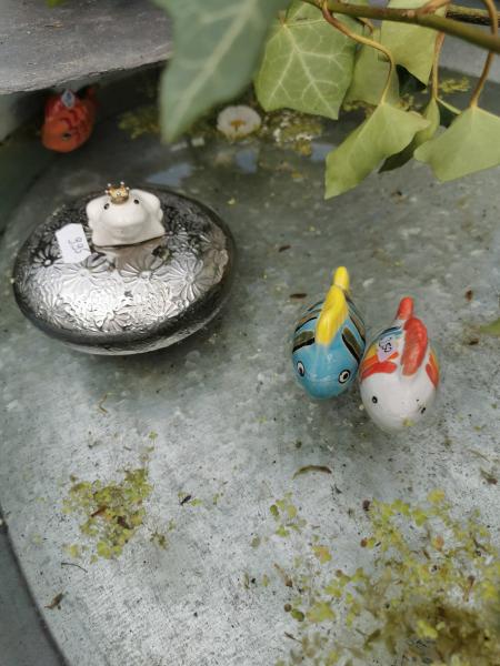 Schwimmlinse mit Froschkönig